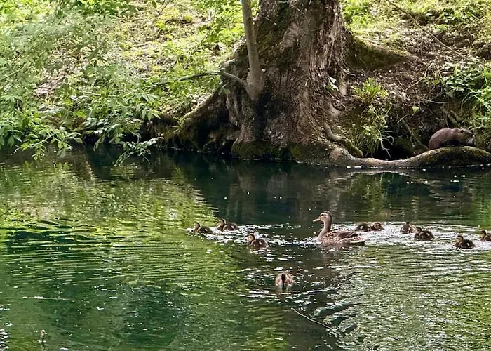 Betia Cocoon Et Serenite, Proche Canal Du Midi Апартаменты *