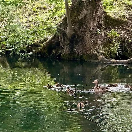 Betia Cocoon Et Serenite, Proche Canal Du Midi Apartment *